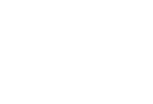 BRAND-AVATAR-WHITE-LOGO-500x338-1-300x203